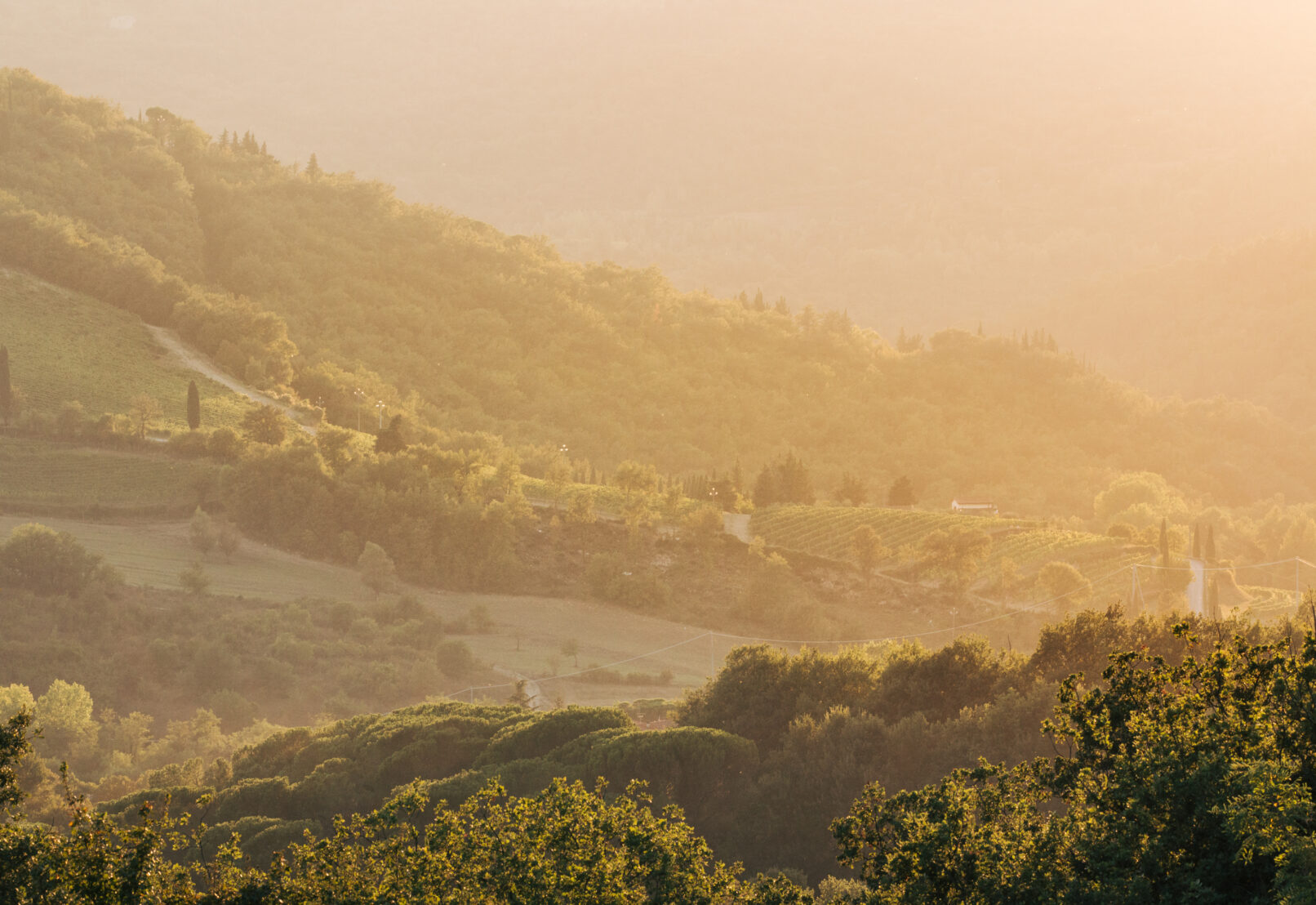 Terreno Tuscany - Petter Bäcklund