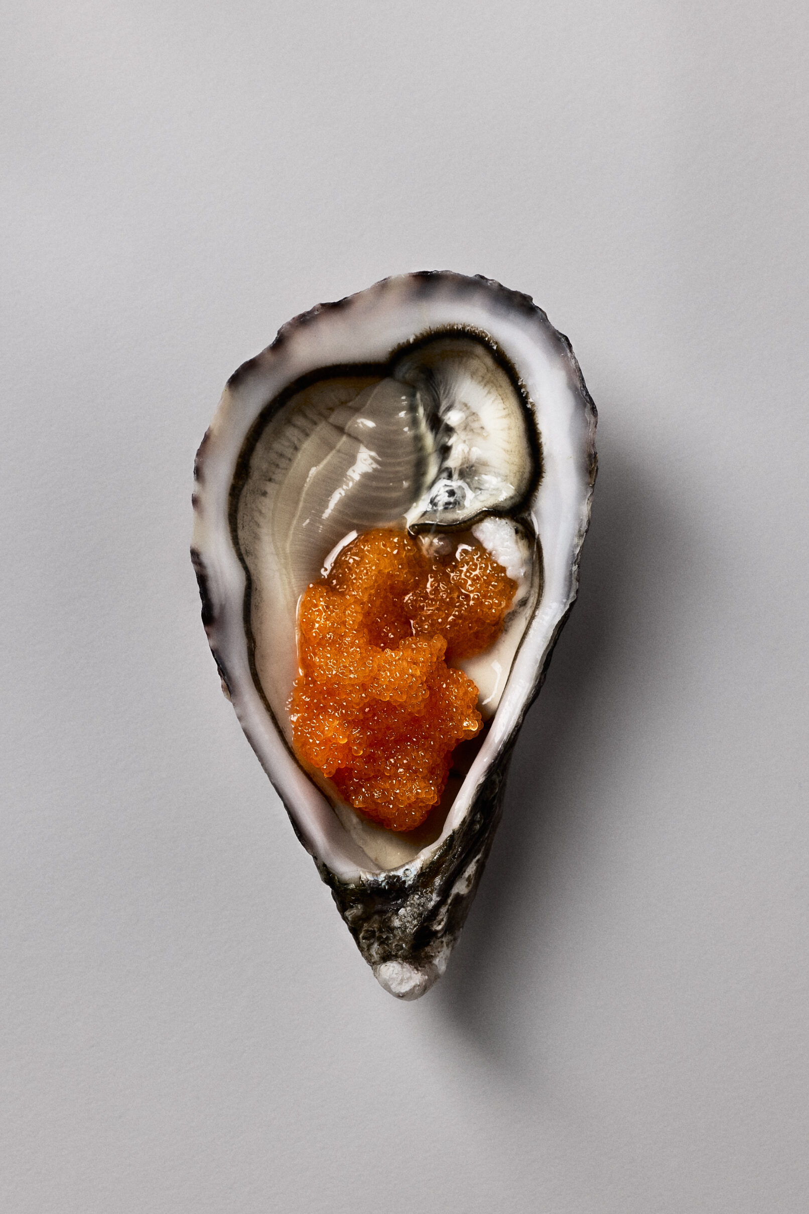 Vogue Scandinavia - Löjrom - Petter Bäcklund