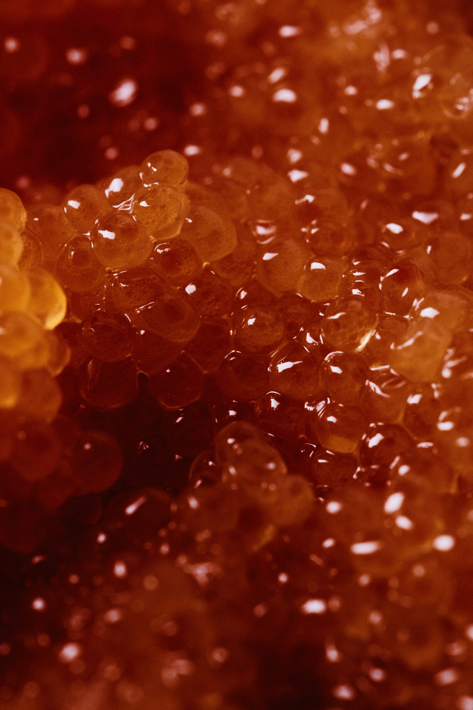 Vogue Scandinavia - Löjrom - Petter Bäcklund