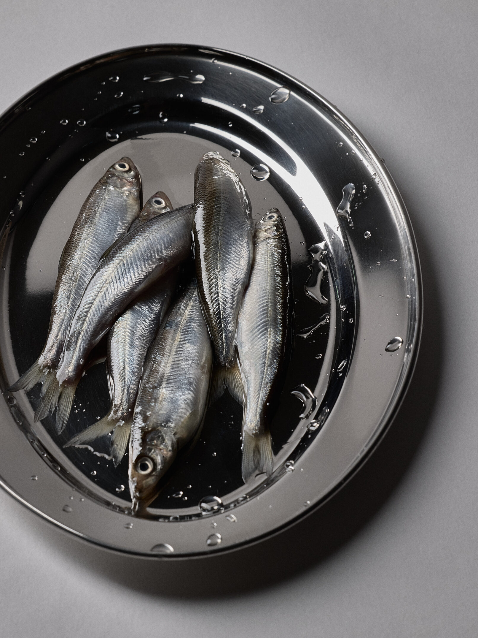 Vogue Scandinavia - Löjrom - Petter Bäcklund